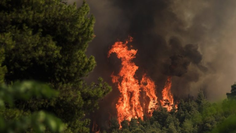 Ανατ. Μάνη: Αναζωπύρωση εστιών φωτιάς λόγω των ανέμων