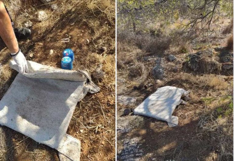 Δεύτερη απόπειρα εμπρησμού σε μια εβδομάδα στο δασάκι Αργυρούπολης