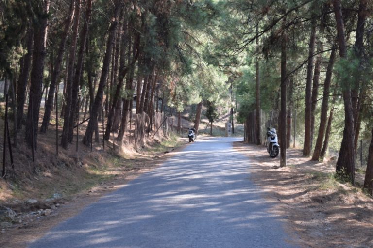 Σύστημα έγκαιρης πυρανίχνευσης στους Δήμους Νοτίου Πηλίου και Ζαγοράς – Μουρεσίου