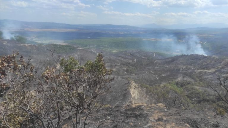 Η εικόνα των πυρκαγιών σε Μεγαλόπολη και Γορτυνία