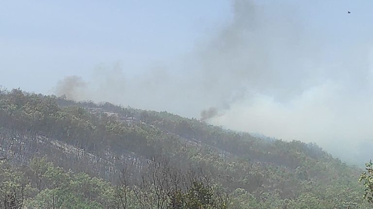 Γρεβενά: Εκτός ελέγχου η φωτιά στο Καρπερό – Εκκενώνονται Σαρακίνα και Νεοχώρι και άλλοι 4 οικισμοί (video)