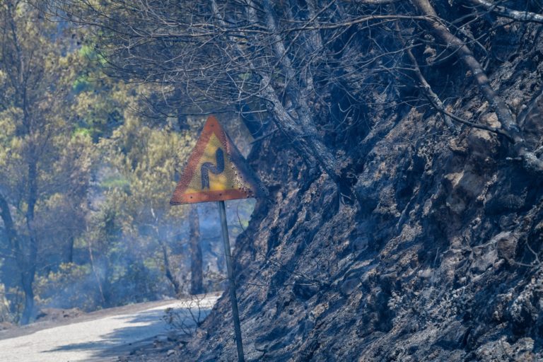 Γορτυνία: Μάχη με τις αναζωπυρώσεις – Δύσκολη η κατάσταση δήλωσε στην ΕΡΤ ο δήμαρχος Ε. Κούλης