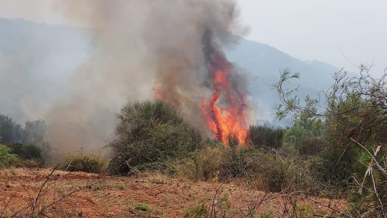 Κομοτηνή: Σβήστηκε η φωτιά σε χορτολιβαδική έκταση μεταξύ Ξυλαγανής και Προσκυνητών
