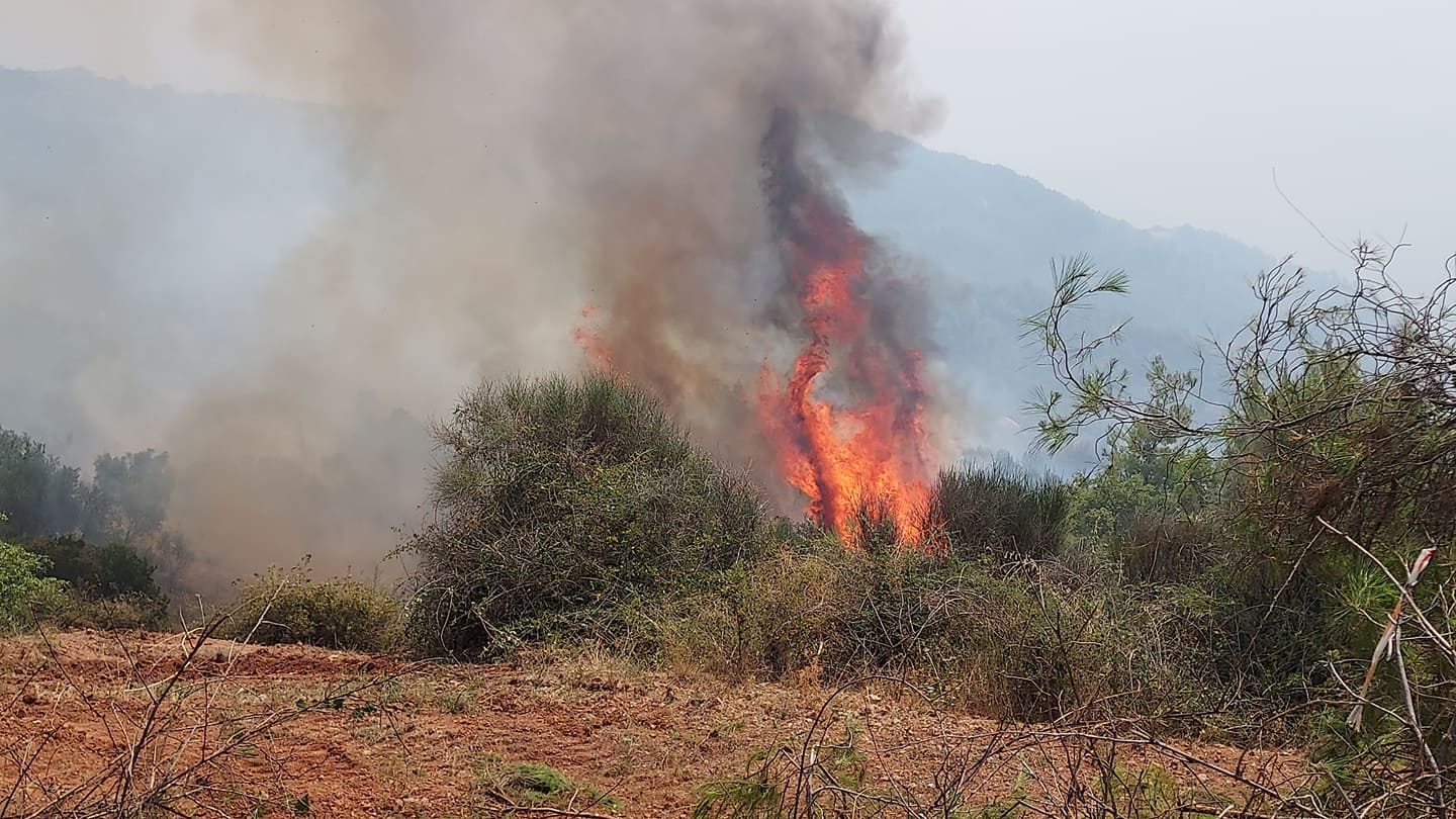 Κομοτηνή: Πυρκαγιά σε χορτολιβαδική έκταση μεταξύ Ξυλαγανής και Προσκυνητών