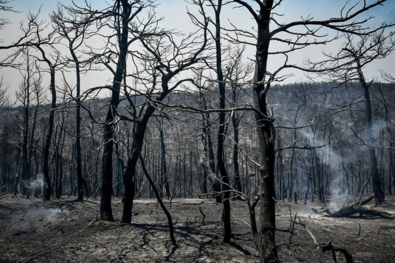 Οδοιπορικό της ΕΡΤ σε Κρυονέρι, Αγ. Στέφανο, Θρακομακεδόνες