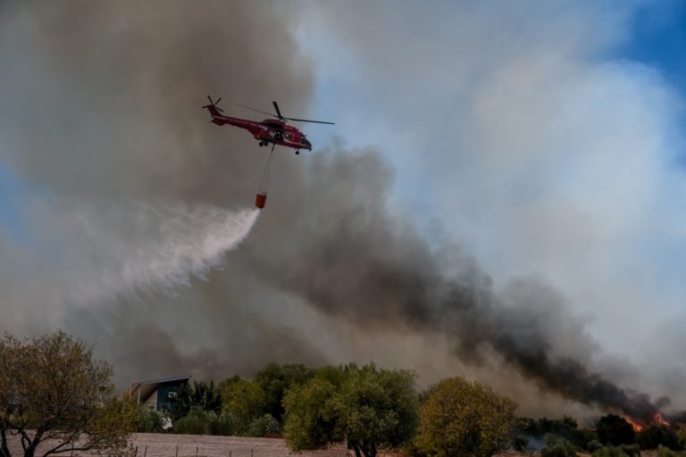 Αντιπεριφερειάρχης Αν. Αττικής στο Πρώτο: Αρκετά μεγάλο το μέτωπο στην Κερατέα – Υπάρχουν διάσπαρτα σπίτια (audio)