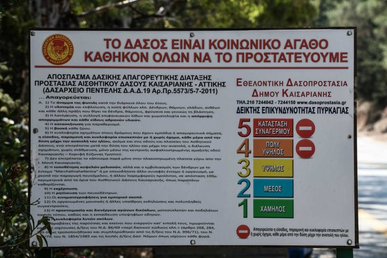 Πυρκαγιές: Αττική, Βοιωτία, Εύβοια, Κορινθία, Αργολίδα και Χίος σε επίπεδο κινδύνου 4 σήμερα Δευτέρα