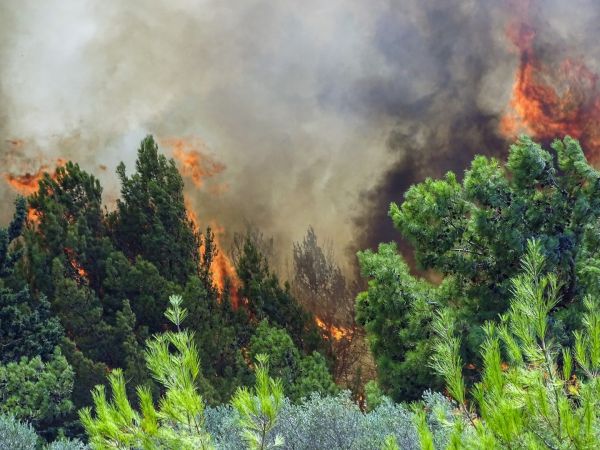 Μαίνεται η φωτιά στην Κόνιτσα