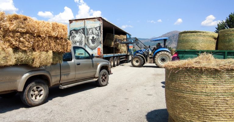 Καστοριά: Ξεπέρασε κάθε προσδοκία η προσφορά για τους πυρόπληκτους κτηνοτρόφους