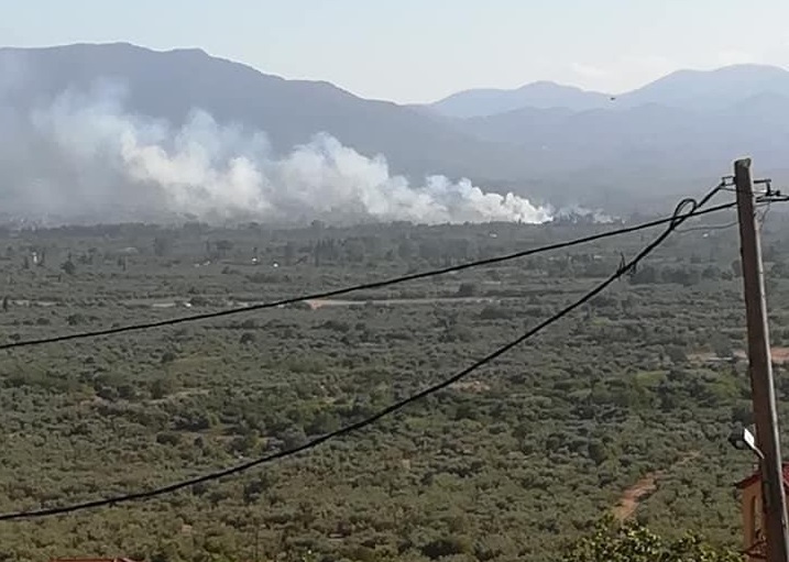 Μεσσηνία: Νέα μέτωπα σε Καλλιρόη και Τσακώνα – Σύλληψη υπόπτου για εμπρησμό (video)