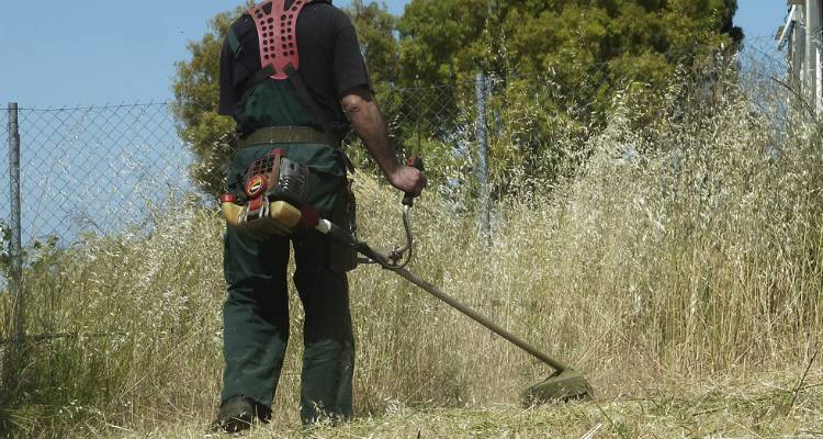 Έκκληση του Δήμου Καρδίτσας να καθαριστούν τα ιδιωτικά οικόπεδα από τη βλάστηση