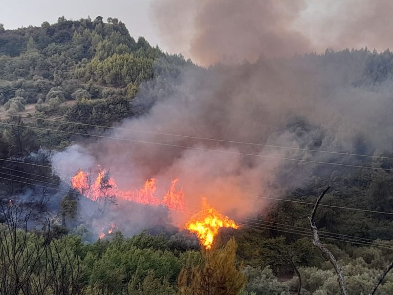 Τιτάνια μάχη με τα πύρινα μέτωπα – Αναζωπύρωση στην Αρχαία Ολυμπία