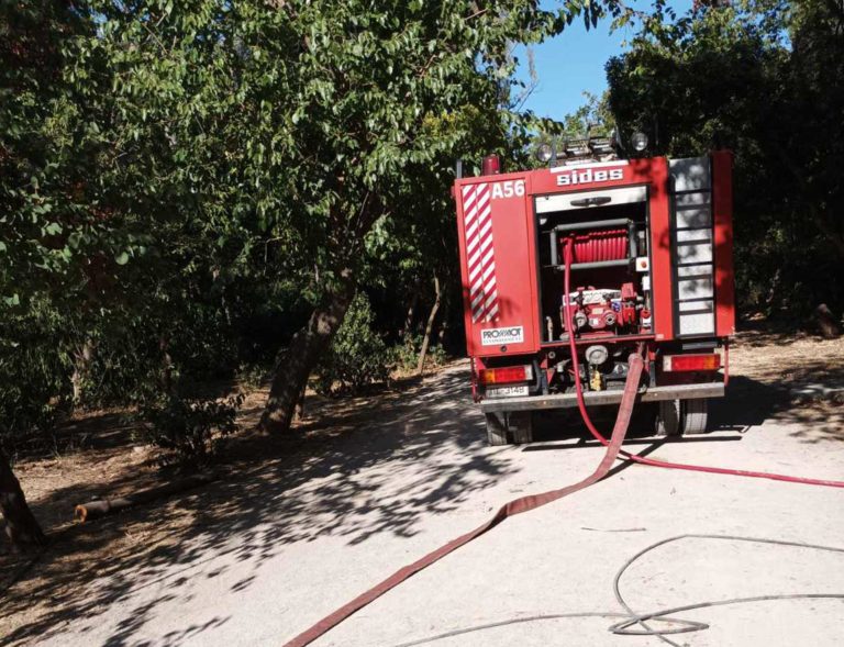 Υπό μερικό έλεγχο η φωτιά που ξέσπασε στο Καλαμάκι Αγιάς