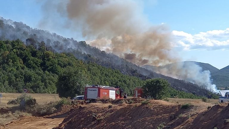 Πρέσπες: Υπό μερικό έλεγχο η φωτιά στα Ελληνοαλβανικά σύνορα (βίντεο)