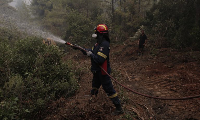 Πυρκαγιές σε δασικές εκτάσεις στα Αθίκια Κορινθίας και το Καλαμάκι Αχαΐας
