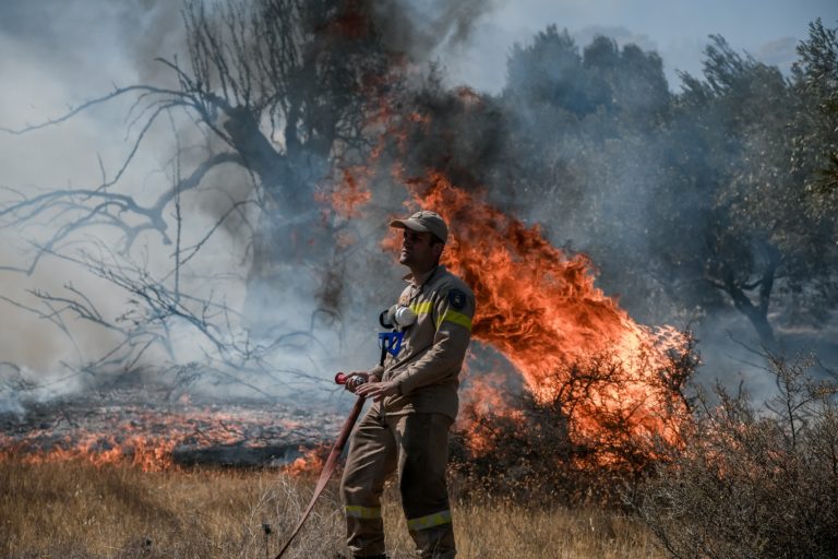Ενισχύονται τα ελληνικά πεζοπόρα τμήματα με πυροσβέστες από το εξωτερικό — Το «ευχαριστώ» Μητσοτάκη στους Πολωνούς