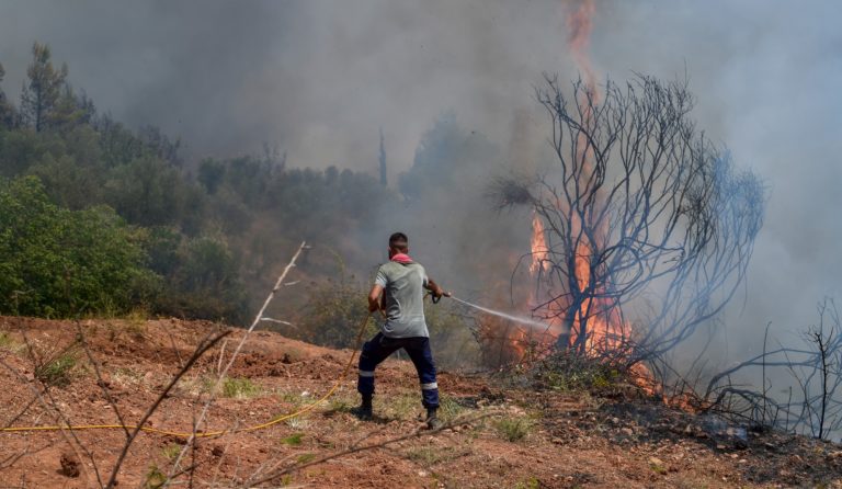 Ηράκλειο: Υπό μερικό έλεγχο η πυρκαγιά σε οικοπεδικό χώρο στον Καρτερό