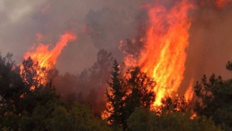 Υπό πλήρη έλεγχο τα μέτωπα της πυρκαγιάς στους Δήμους Πλατανιά και Χανίων