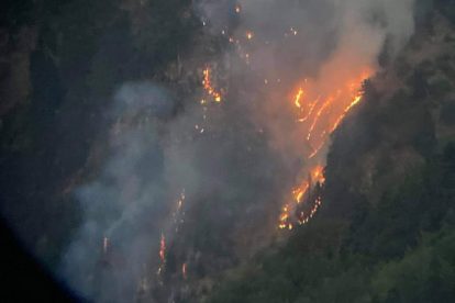 Υπό πλήρη έλεγχο η φωτιά στα Στουρναρέικα Τρικάλων