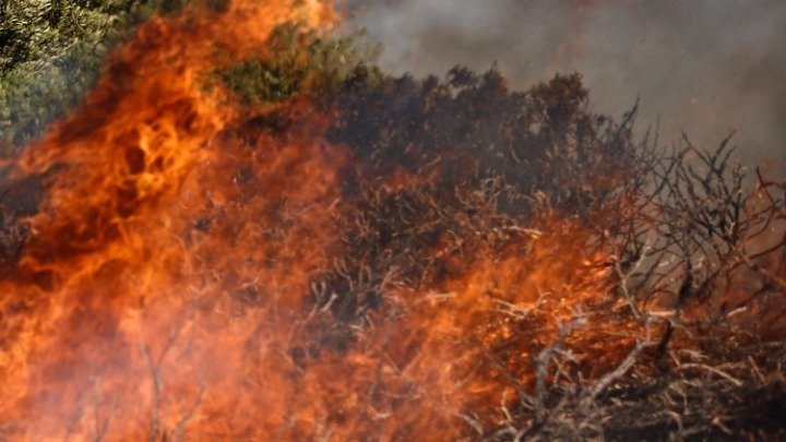 Χαλκιδική: Υπό έλεγχο η φωτιά σε δύσβατη περιοχή στην Σιθωνία