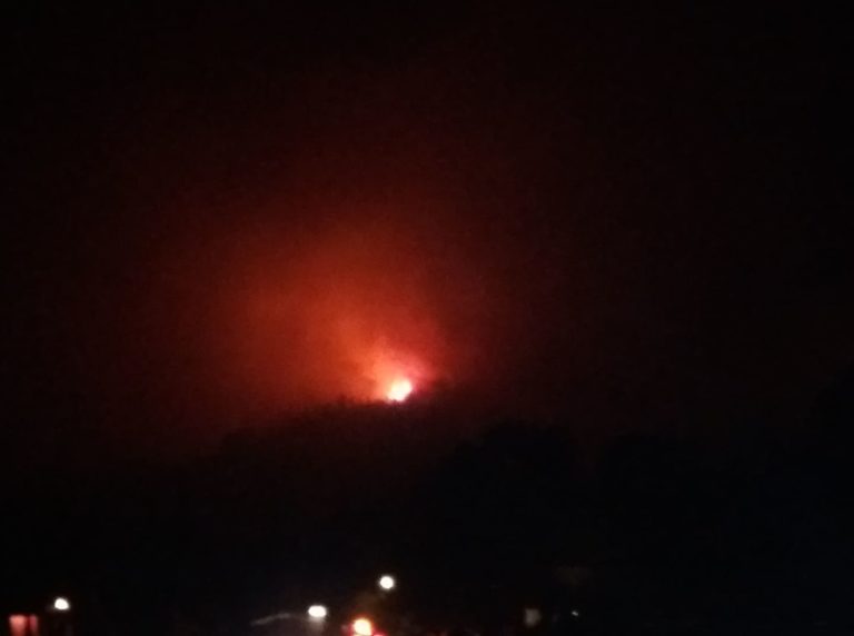 Συνεχής μάχη με τις φλόγες στη Γορτυνία – Κάηκε ένα παρθένο δάσος