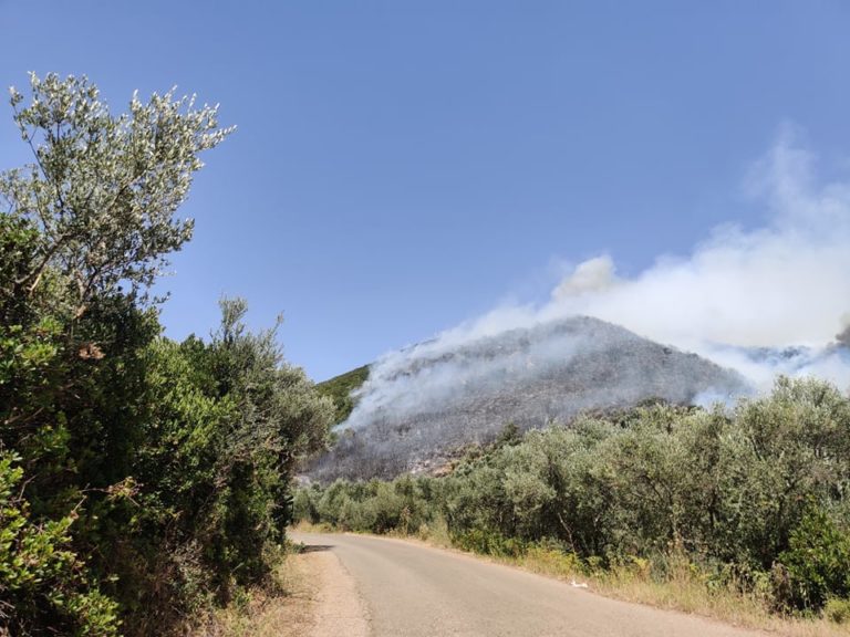 Δείτε το Βίντεο από την πυρκαγιά στο Βλαχόπουλο Μεσσηνίας – Καίγεται σπάνιο δρυοδάσος