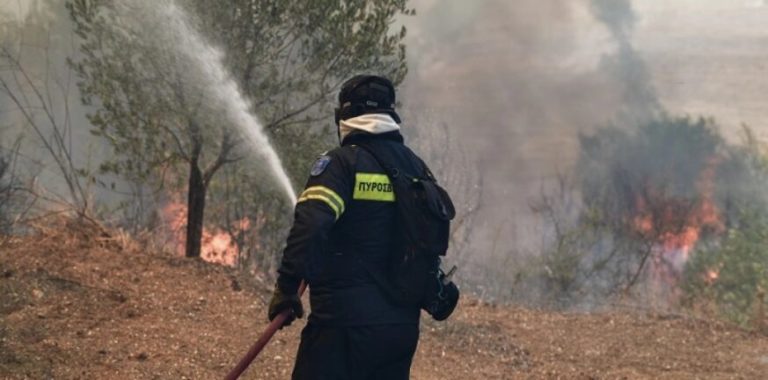 Σωτήρια η κινητοποίηση της Πυροσβεστικής στα ορεινά της Ξάνθης