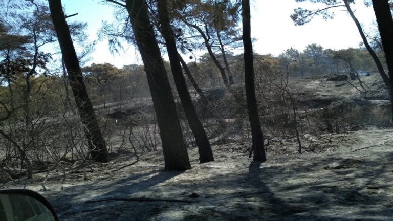 Συνεχείς οι αναζωπυρώσεις στο μέτωπο της φωτιάς στη Ρόδο