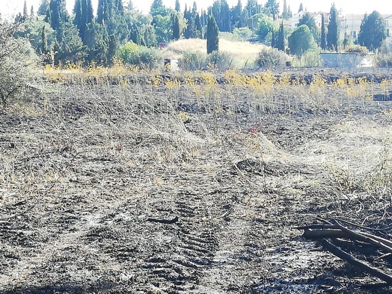 Κέρκυρα: Σύλληψη άνδρα για εμπρησμό