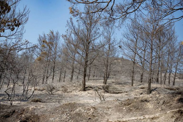 Χωρίς ενεργό μέτωπο η φωτιά στην Ρόδο – Στάχτη χιλιάδες στρέματα παρθένου δάσους