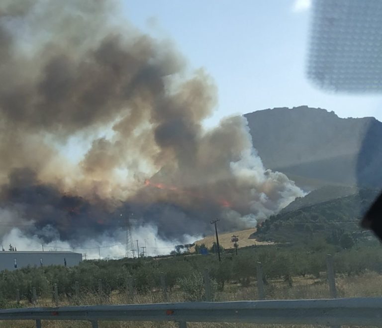 Σε ύφεση η πυρκαγιά στον Ακροκόρινθο