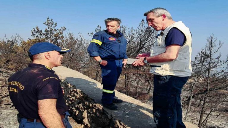 Αυτοψία στις πληγείσες από τη φωτιά περιοχές της Ρόδου – Καταστράφηκε φυτική παραγωγή 170 στρεμμάτων