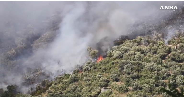 Ιταλία: Στις φλόγες ο δρυμός του Monte Catillo στη Ρώμη – Εκκενώθηκαν σπίτια στο Tivoli