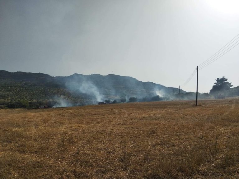 Πύργος: Υπο έλεγχο η φωτιά στην Αγ. Άννα – Πυροσβεστικό όχημα παρέσυρε αστυνομικό