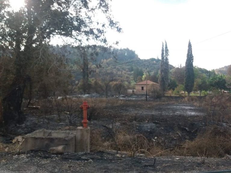Ημερίδα του ΣΥΡΙΖΑ στη Γορτυνία για την επαύριον των πυρκαγιών