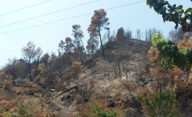 Ενημέρωση για τους πυρόπληκτους της Ανατολικής Μάνης που έλαβαν κρατική ενίσχυση