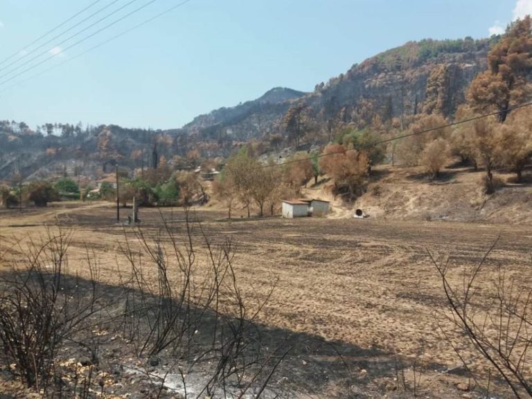 Πιστώσεις για αντιπλημμυρικά έργα στην περιοχή του πυρόπληκτου Σχίνου Κορινθίας