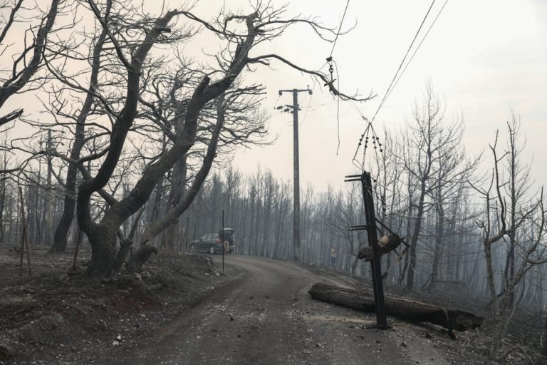 Γρήγοροι ρυθμοί για κήρυξη αναδασωτέων εκτάσεων