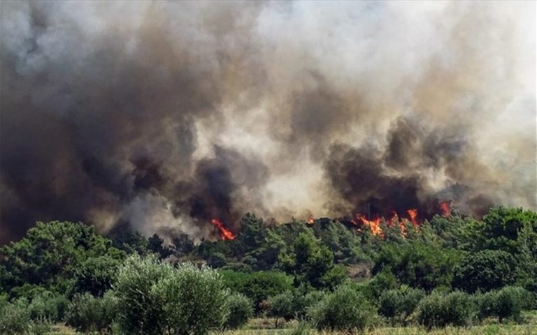 Μάχη με τις φλόγες σε τρία μέτωπα στην Δυτική Μακεδονία