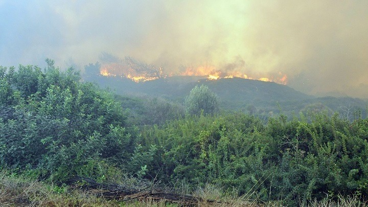 Χαλκιδική: Νέα πυρκαγιά σε δασική έκταση στη Βουρβουρού-Κανένα ενεργό μέτωπο στη Φούρκα
