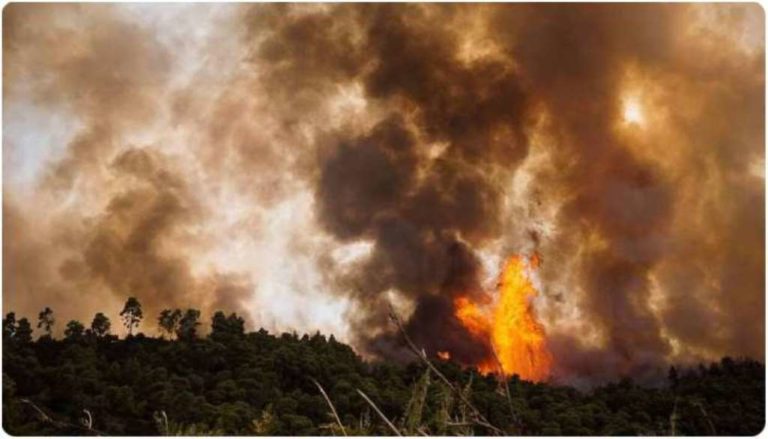 Κομισιόν: Τεχνική υποστήριξη για την ανάκτηση βιοποικιλότητας στην πυρόπληκτη Εύβοια