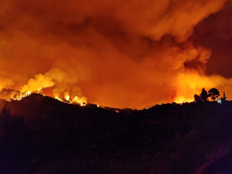 Συνεχής η “μάχη” με τις φωτιές σε Αν. Μάνη, Γορτυνία και Μεγαλόπολη