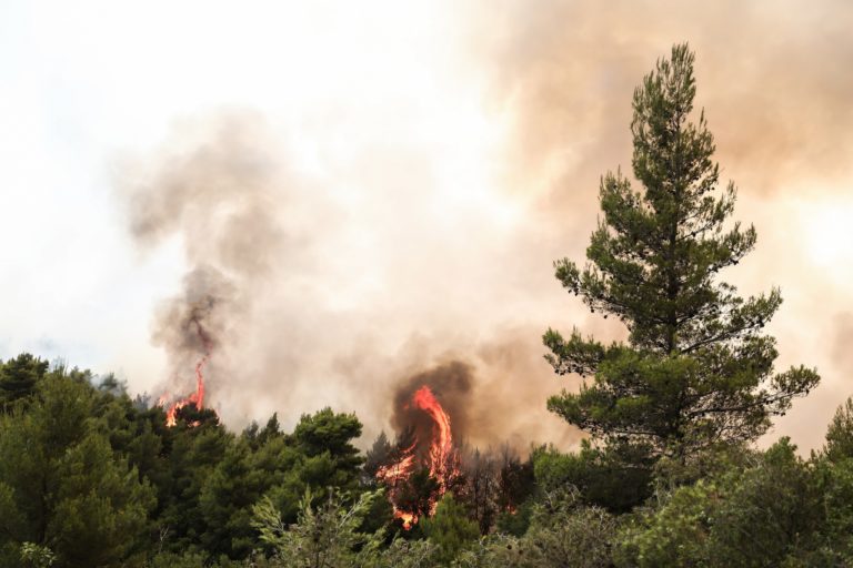 Σε πύρινο κλοιό η χώρα — Μέτωπα σε Βαρυμπόμπη, Εύβοια, Ηλεία, Μεσσηνία, Λακωνία, Γρεβενά, Κοζάνη, Φωκίδα και αλλού