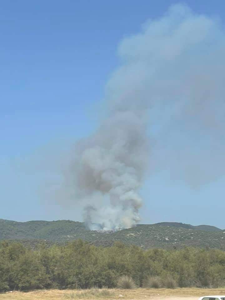 Χαλκιδική: Πυρκαγιά σε δασική έκταση στην Τορώνη