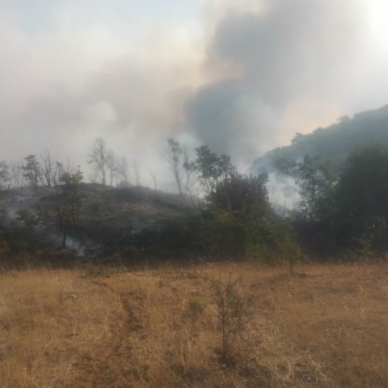 Σε εξέλιξη πυρκαγιά στη Δ.Ε. Μυκηναίων Αργολίδας