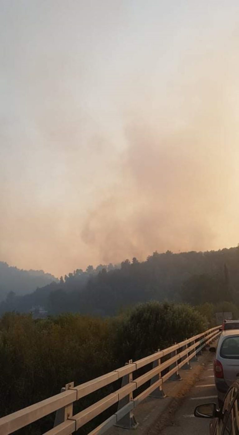 Αρκαδία: Αναζωπυρώσεις στη φωτιά της Κάτω Γορτυνίας (video)