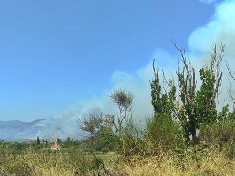 Φωτιά Ανατολικής Μάνης: Αντιπυρικές ζώνες στον περιφερειακό δρόμο του Γυθείου