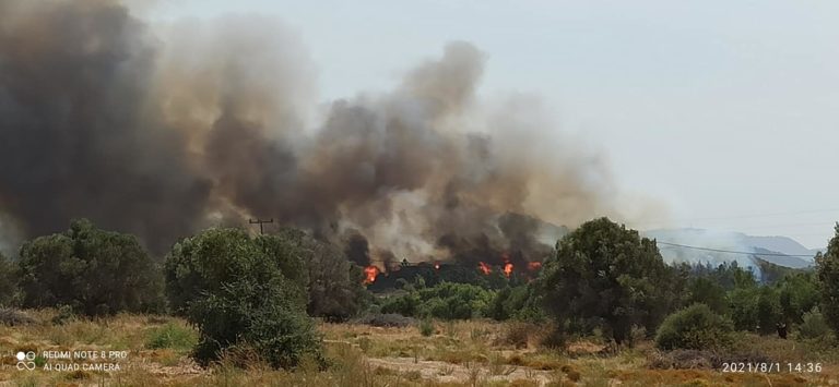 Δωδεκάνησος: Πολύ υψηλός κίνδυνος πυρκαγιάς για αύριο, Τρίτη 3 Αυγούστου