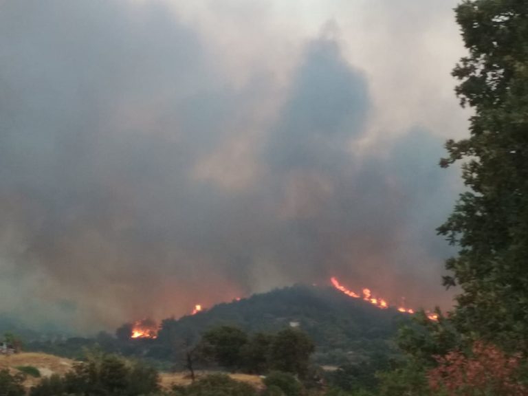 Αγρίνιο: Ελέγχεται η φωτιά στο Παραδείσι
