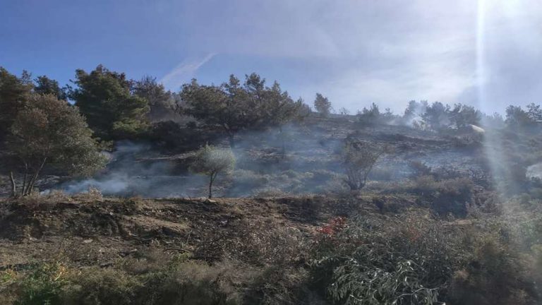 Πάτρα: Χιλιάδες στρέμματα καμένης γης στην Αιγιάλεια